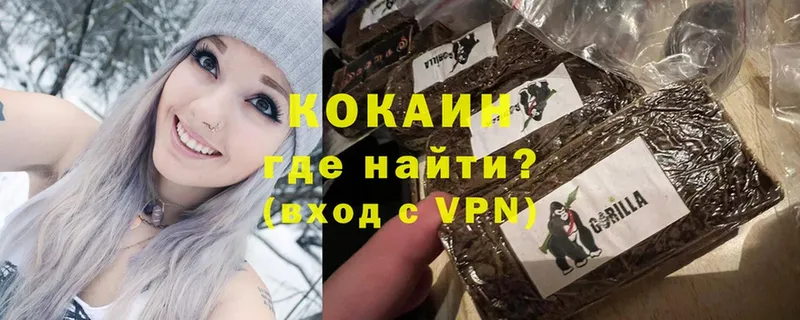 COCAIN Боливия Покров