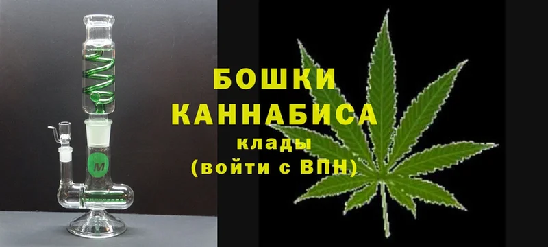 где найти   Покров  Канабис сатива 